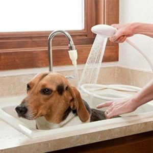 manguera para duchar a canes