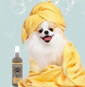 Shampoo para Perros