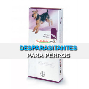 Read more about the article Desparasitantes para Perros: Rápida Efectividad