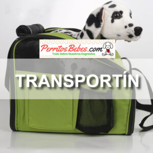 Read more about the article Transportin