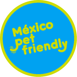 mexico petfriendly